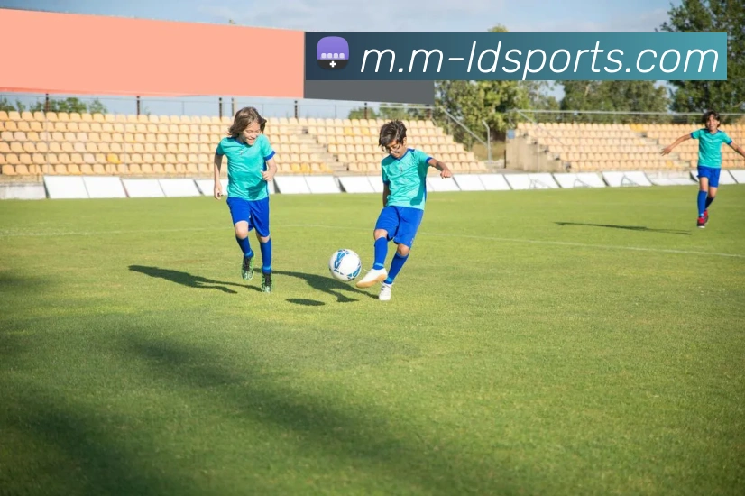 多媒体互动体验